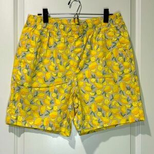Lands End Checked Lemon Midrise Shorts Size 12